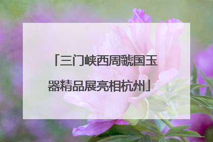三门峡西周虢国玉器精品展亮相杭州