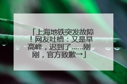 上海地铁突发故障！网友吐槽：又是早高峰，迟到了……刚刚，官方致歉→