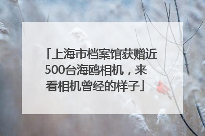 上海市档案馆获赠近500台海鸥相机，来看相机曾经的样子