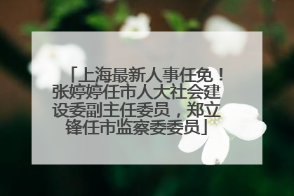 上海最新人事任免！张婷婷任市人大社会建设委副主任委员，郑立锋任市监察委委员