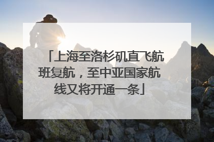 上海至洛杉矶直飞航班复航，至中亚国家航线又将开通一条
