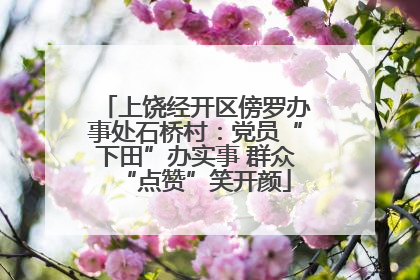 上饶经开区傍罗办事处石桥村：党员“下田”办实事 群众“点赞”笑开颜