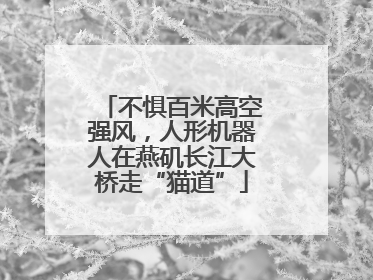 不惧百米高空强风，人形机器人在燕矶长江大桥走“猫道”