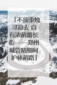 不须秉烛寻凉去 自有浓荫覆长街——郑州城管精细呵护林荫路