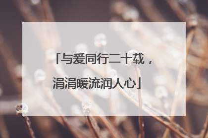 与爱同行二十载，涓涓暖流润人心