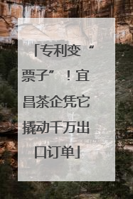 专利变“票子”！宜昌茶企凭它撬动千万出口订单