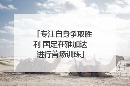 专注自身争取胜利 国足在雅加达进行首场训练