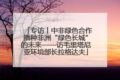 专访丨中非绿色合作播种非洲“绿色长城”的未来——访毛里塔尼亚环境部长拉格达夫