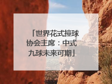 世界花式撞球协会主席：中式九球未来可期