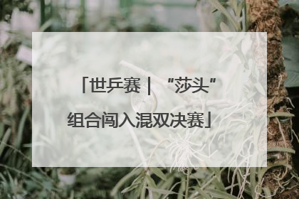 世乒赛｜“莎头”组合闯入混双决赛