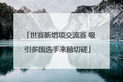 世赛新增项交流赛 吸引多国选手来穗切磋