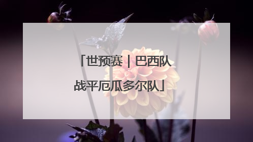 世预赛｜巴西队战平厄瓜多尔队