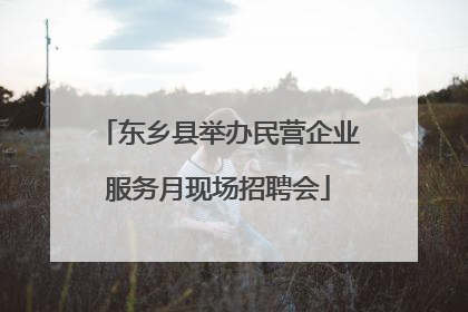 东乡县举办民营企业服务月现场招聘会