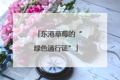 东港草莓的“绿色通行证”