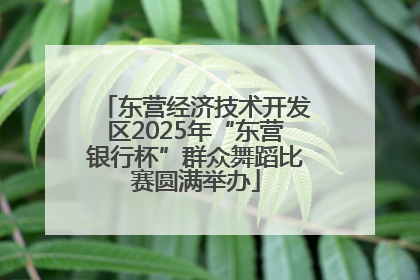 东营经济技术开发区2025年“东营银行杯”群众舞蹈比赛圆满举办