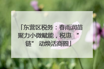 东营区税务：春雨润苗聚力小微赋能，税惠 “链” 动焕活商圈