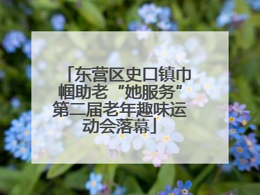 东营区史口镇巾帼助老“她服务”第二届老年趣味运动会落幕