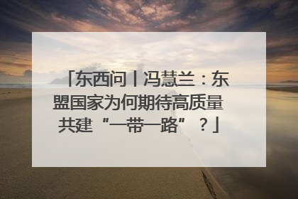 东西问丨冯慧兰：东盟国家为何期待高质量共建“一带一路”？