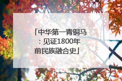 中华第一青铜马：见证1800年前民族融合史