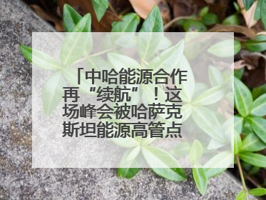 中哈能源合作再“续航”！这场峰会被哈萨克斯坦能源高管点赞“加油”