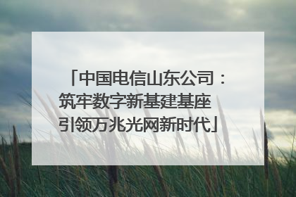 中国电信山东公司：筑牢数字新基建基座 引领万兆光网新时代