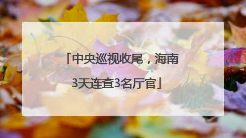中央巡视收尾，海南3天连查3名厅官