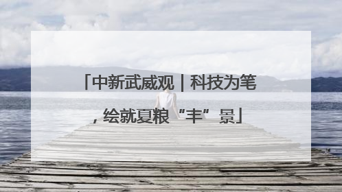 中新武威观｜科技为笔，绘就夏粮“丰”景