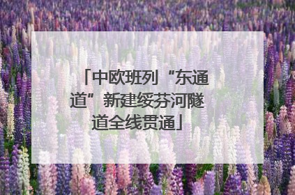 中欧班列“东通道”新建绥芬河隧道全线贯通