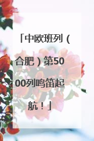 中欧班列（合肥）第5000列鸣笛起航！