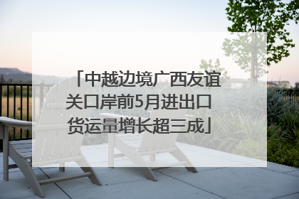 中越边境广西友谊关口岸前5月进出口货运量增长超三成