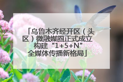 乌鲁木齐经开区（头区）微融媒圈正式成立 构建“1+5+N”全媒体传播新格局