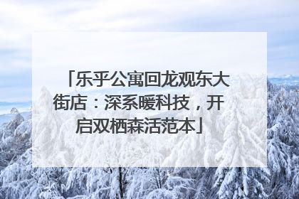 乐乎公寓回龙观东大街店：深系暖科技，开启双栖森活范本