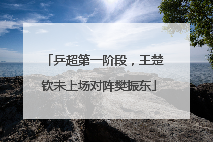 乒超第一阶段，王楚钦未上场对阵樊振东