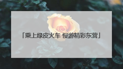 乘上绿皮火车 慢游精彩东营