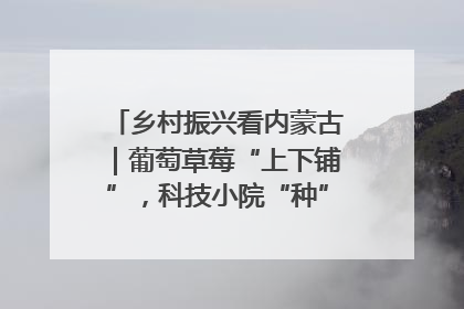乡村振兴看内蒙古｜葡萄草莓“上下铺”，科技小院“种”出三倍效益