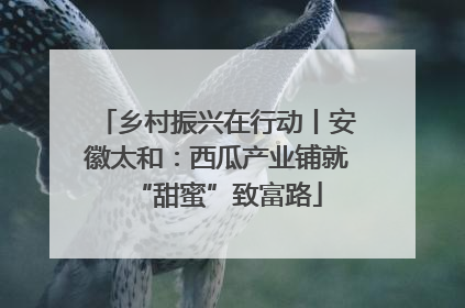 乡村振兴在行动丨安徽太和：西瓜产业铺就“甜蜜”致富路