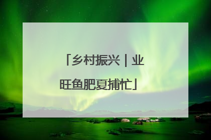 乡村振兴｜业旺鱼肥夏捕忙