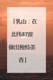 乳山：在北纬37度做出独特茶香