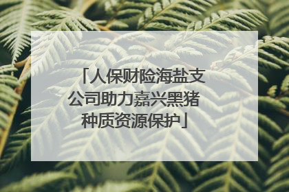 人保财险海盐支公司助力嘉兴黑猪种质资源保护