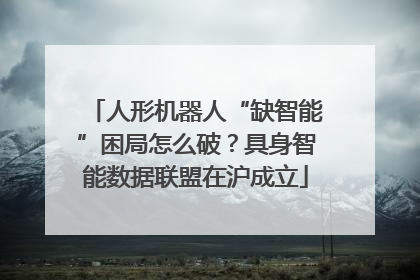 人形机器人“缺智能”困局怎么破？具身智能数据联盟在沪成立