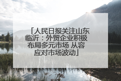 人民日报关注山东临沂：外贸企业积极布局多元市场 从容应对市场波动