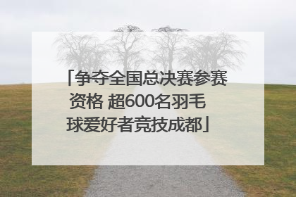 争夺全国总决赛参赛资格 超600名羽毛球爱好者竞技成都