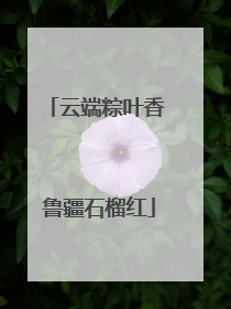 云端粽叶香 鲁疆石榴红