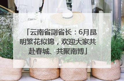 云南省副省长：6月昆明繁花似锦，欢迎大家共赴春城、共聚南博