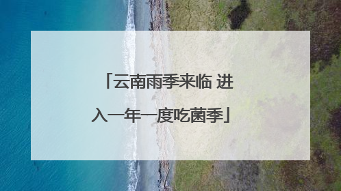 云南雨季来临 进入一年一度吃菌季