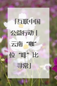互联中国公益行动丨云南“咖”位“啡”比寻常