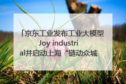 京东工业发布工业大模型Joy industrial并启动上海“链动众城 万亿降本”计划