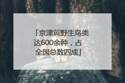 京津冀野生鸟类达600余种，占全国总数四成