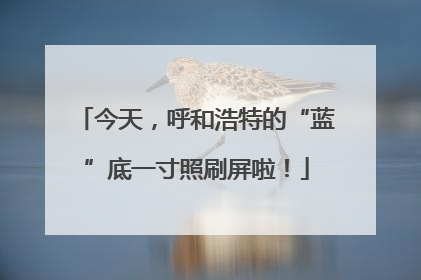 今天，呼和浩特的“蓝”底一寸照刷屏啦！