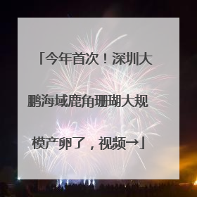 今年首次！深圳大鹏海域鹿角珊瑚大规模产卵了，视频→